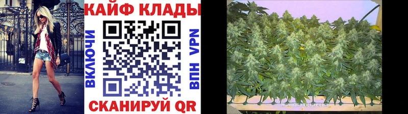 Где можно купить наркотики Тында Гашиш  Кокаин  Галлюциногенные грибы  Канабис  Меф мяу мяу  АМФ 