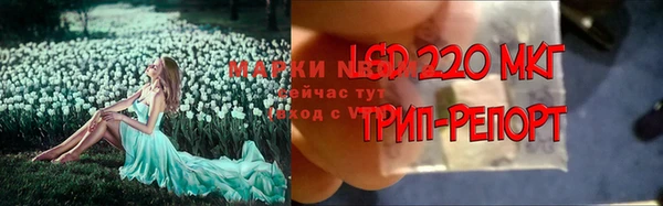 спиды Беломорск