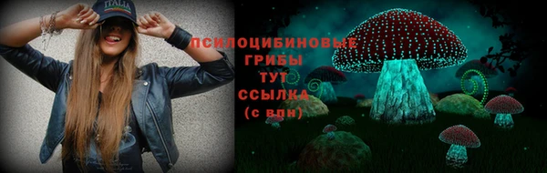PSILOCYBIN Белокуриха