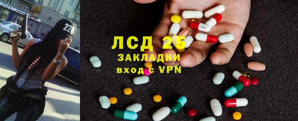 PSILOCYBIN Белокуриха