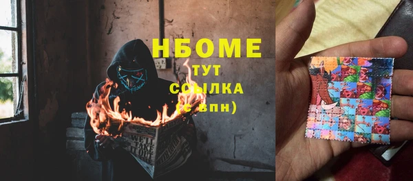 PSILOCYBIN Белокуриха